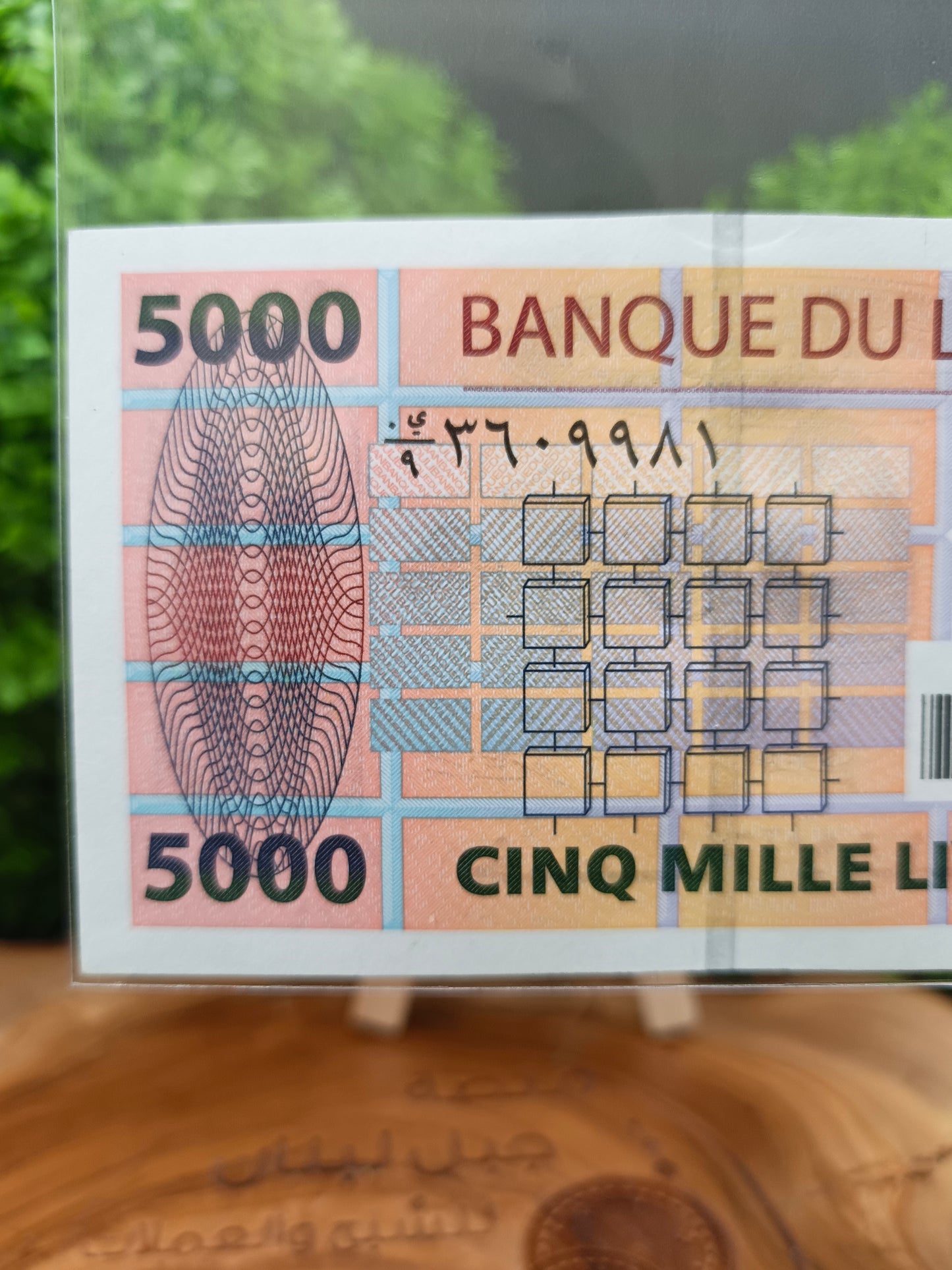 5000 lira . lebanon 2008