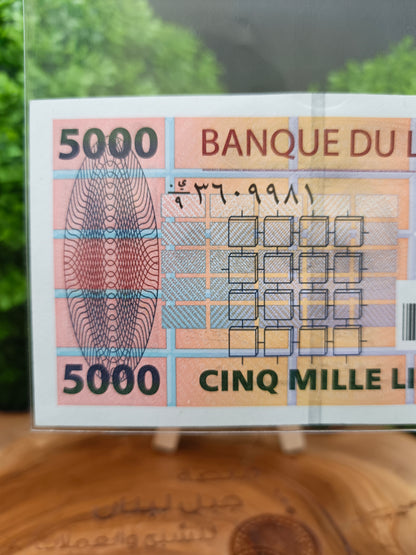 5000 lira . lebanon 2008