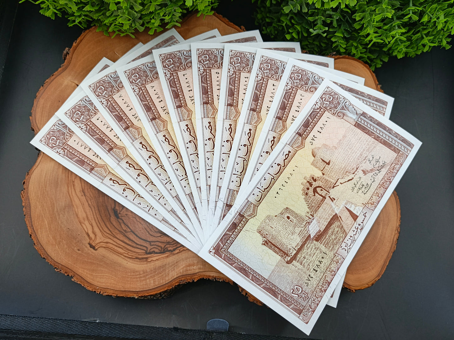 10 pices of 25 Lebanese piaster 1983 (consecutive serial numbers)