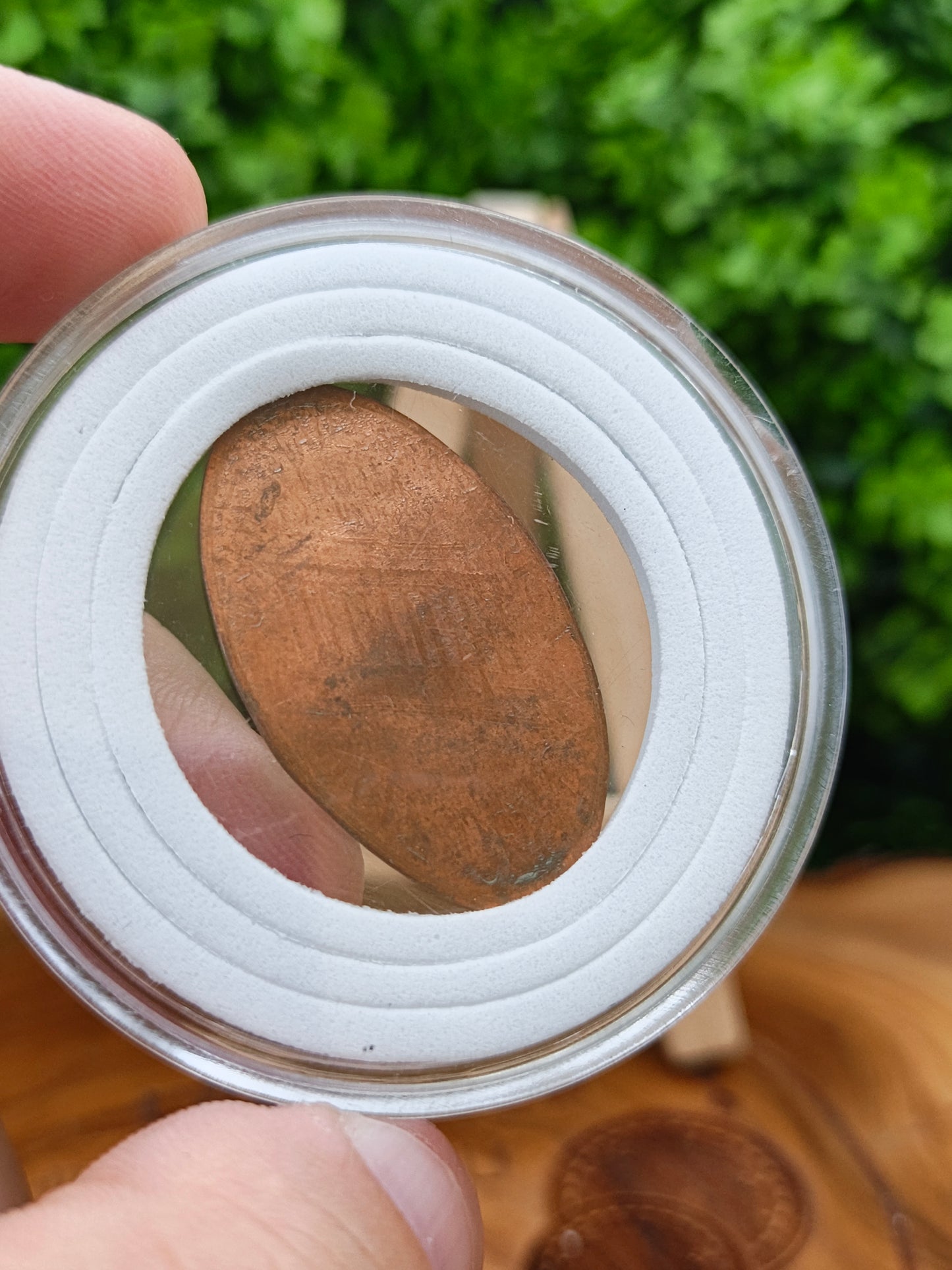 1 cent pressed . united states  ( Kentucky State )