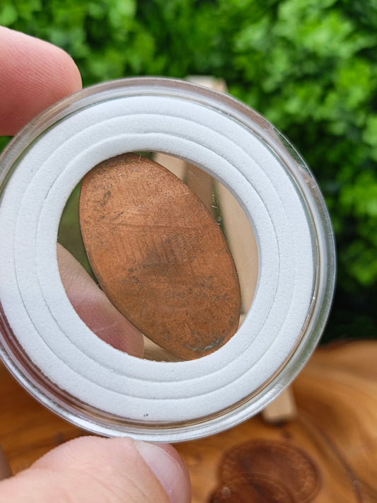1 cent pressed . united states  ( Kentucky State )