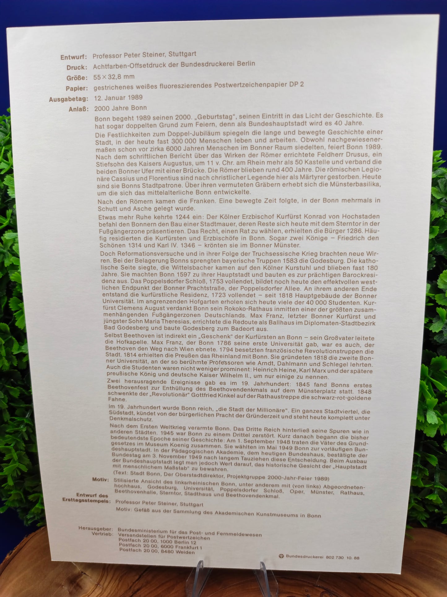 Two Millennia of History: 2000 Years of Bonn