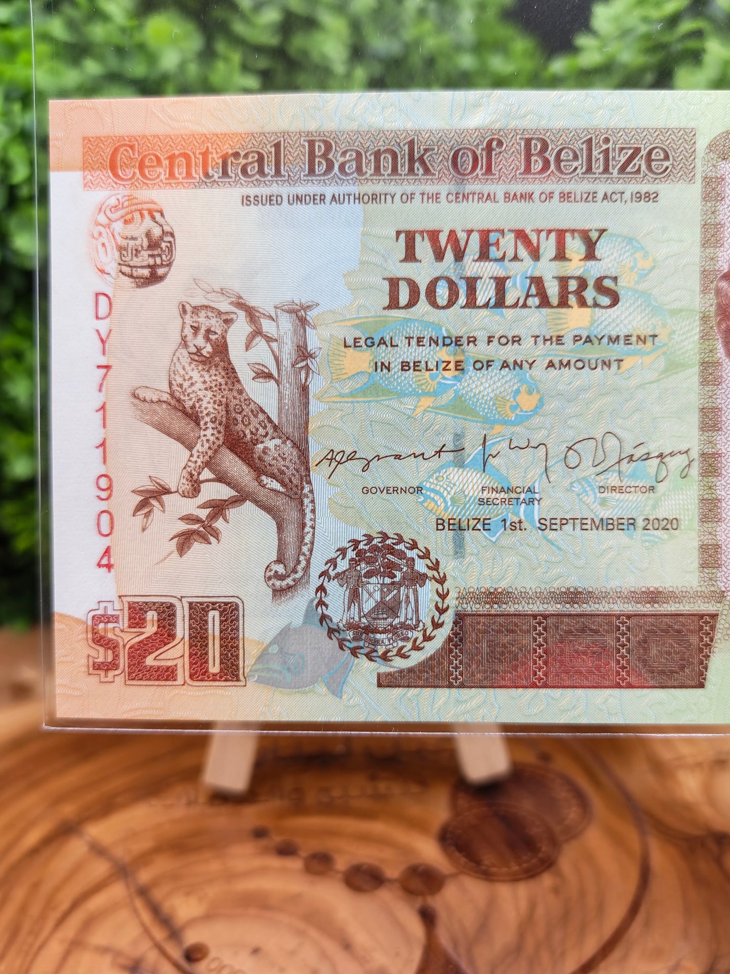 20 dollars . Belize . 2020