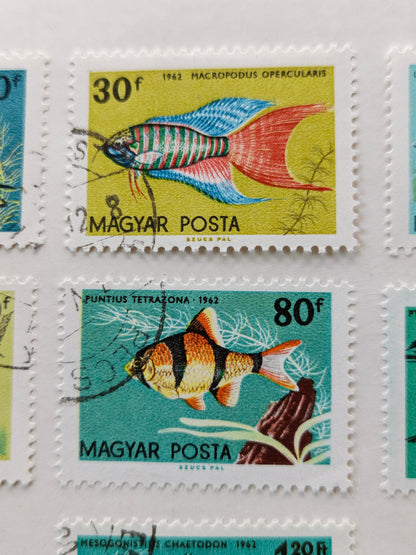 1962 Hungary Tropical Aquarium Fish Stamp Set