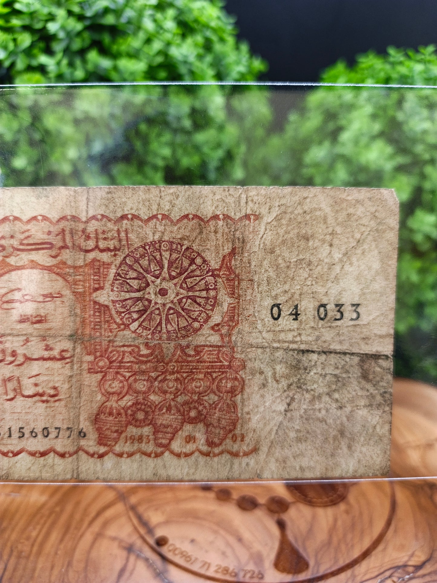 20 dinars . Algeria 1986