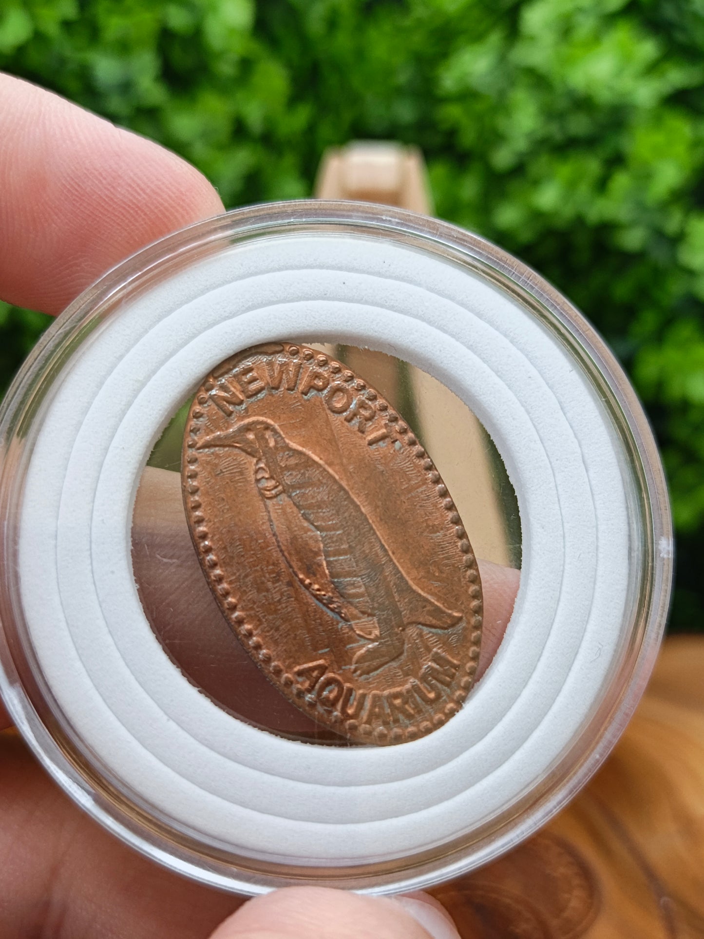 1 cent pressed . united states  ( Kentucky State )
