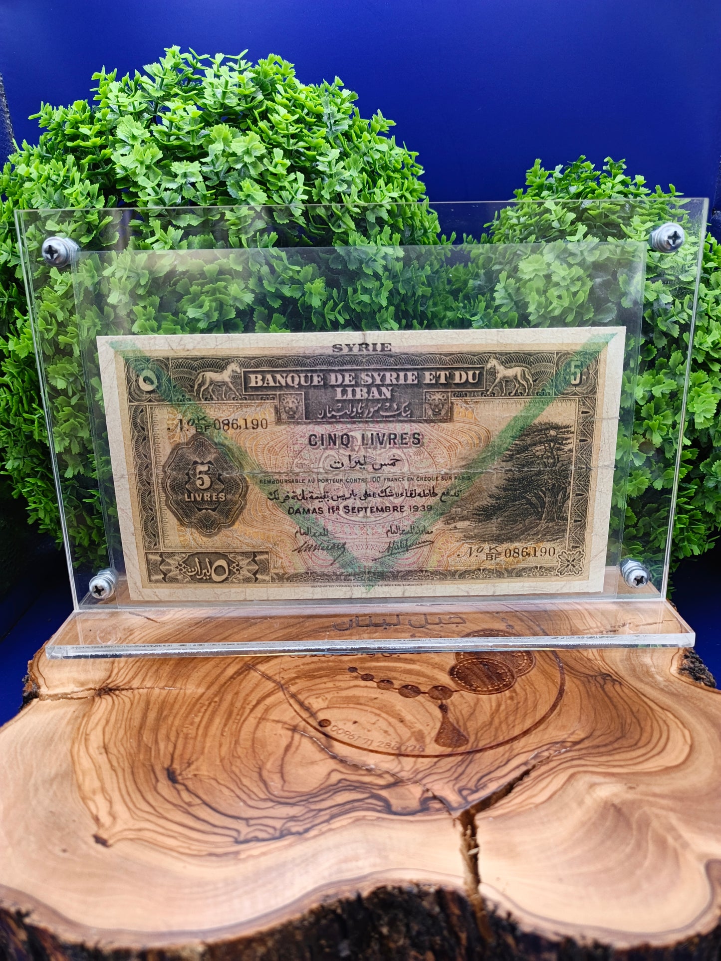 Plexi big banknotes stand