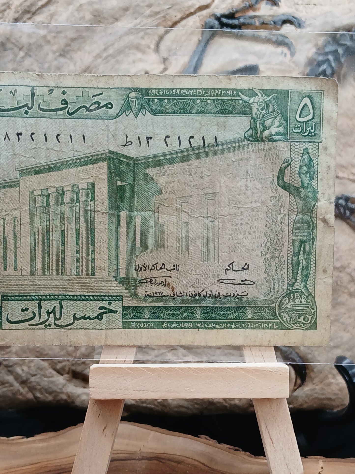 5 Lebanese livers . 1967