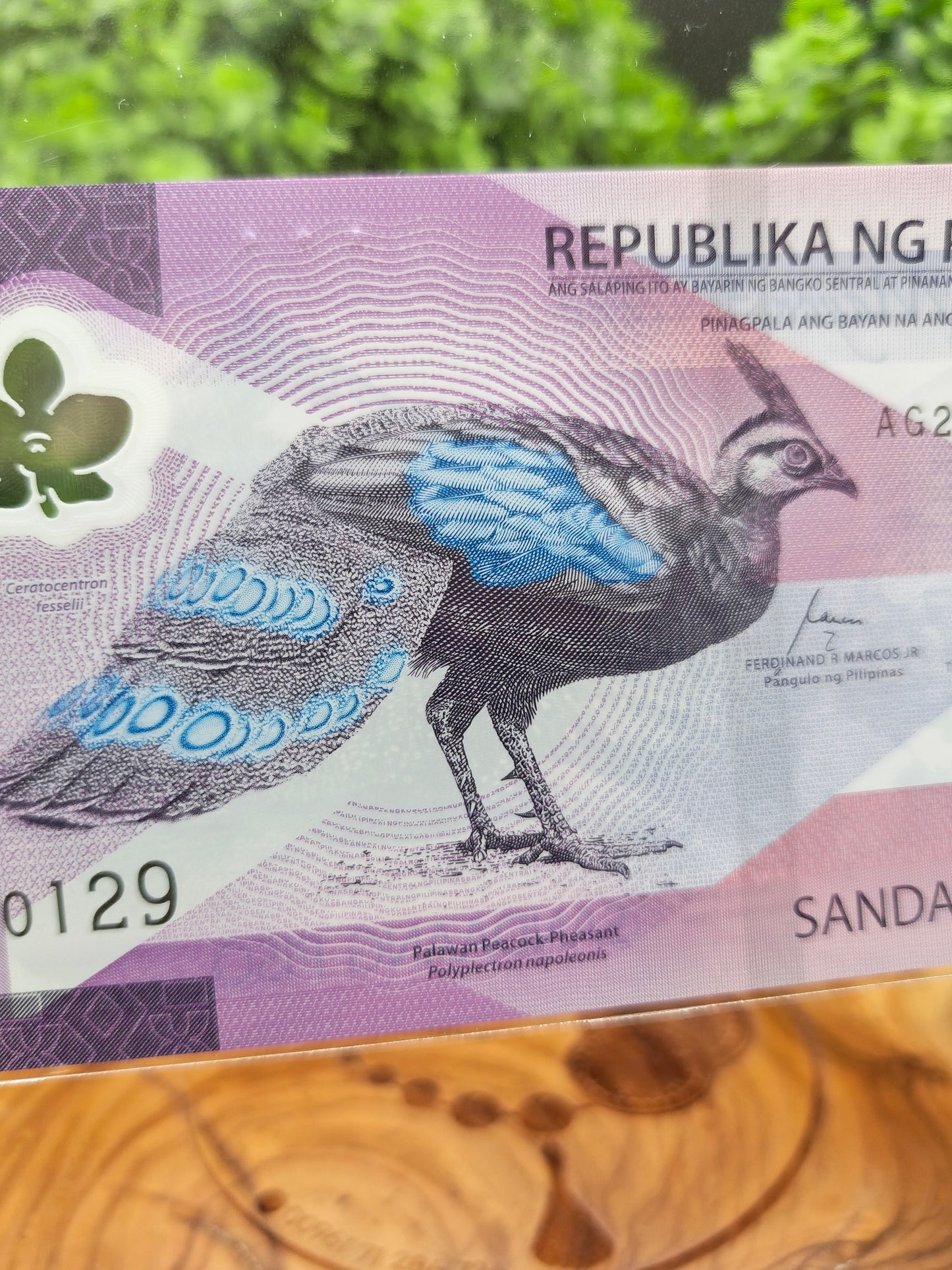 100 piso . Philippines . 2024