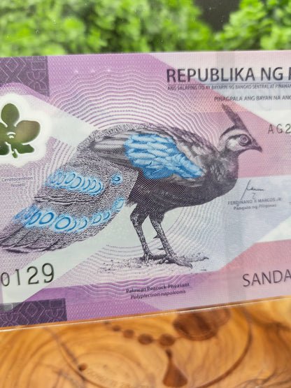 100 piso . Philippines . 2024