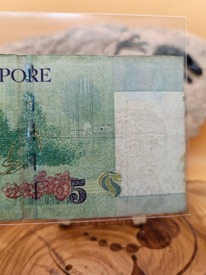 5 dollars . Singapore 2007