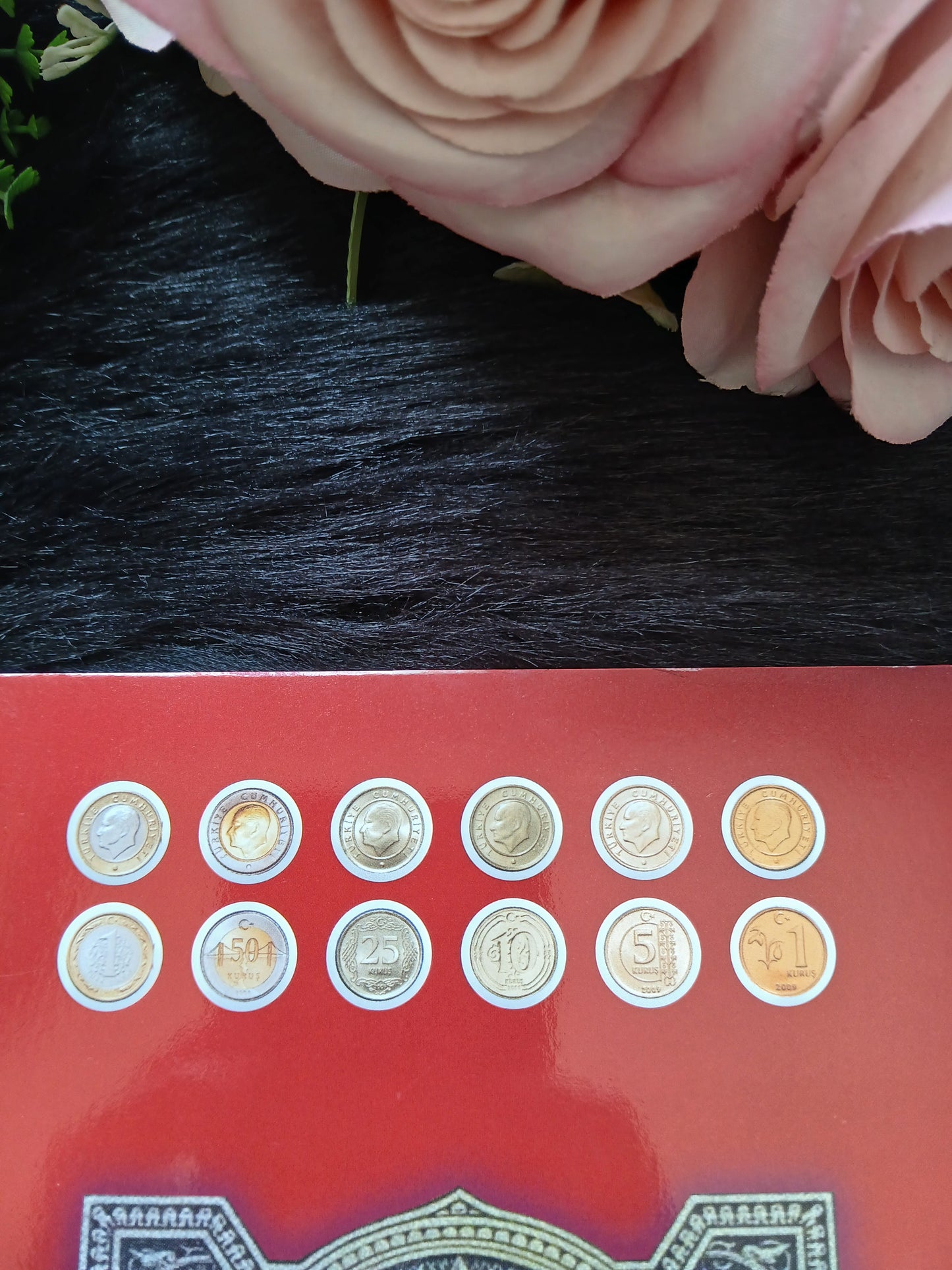 COINS OF THE REPUBLIC OF Türkiye 2022