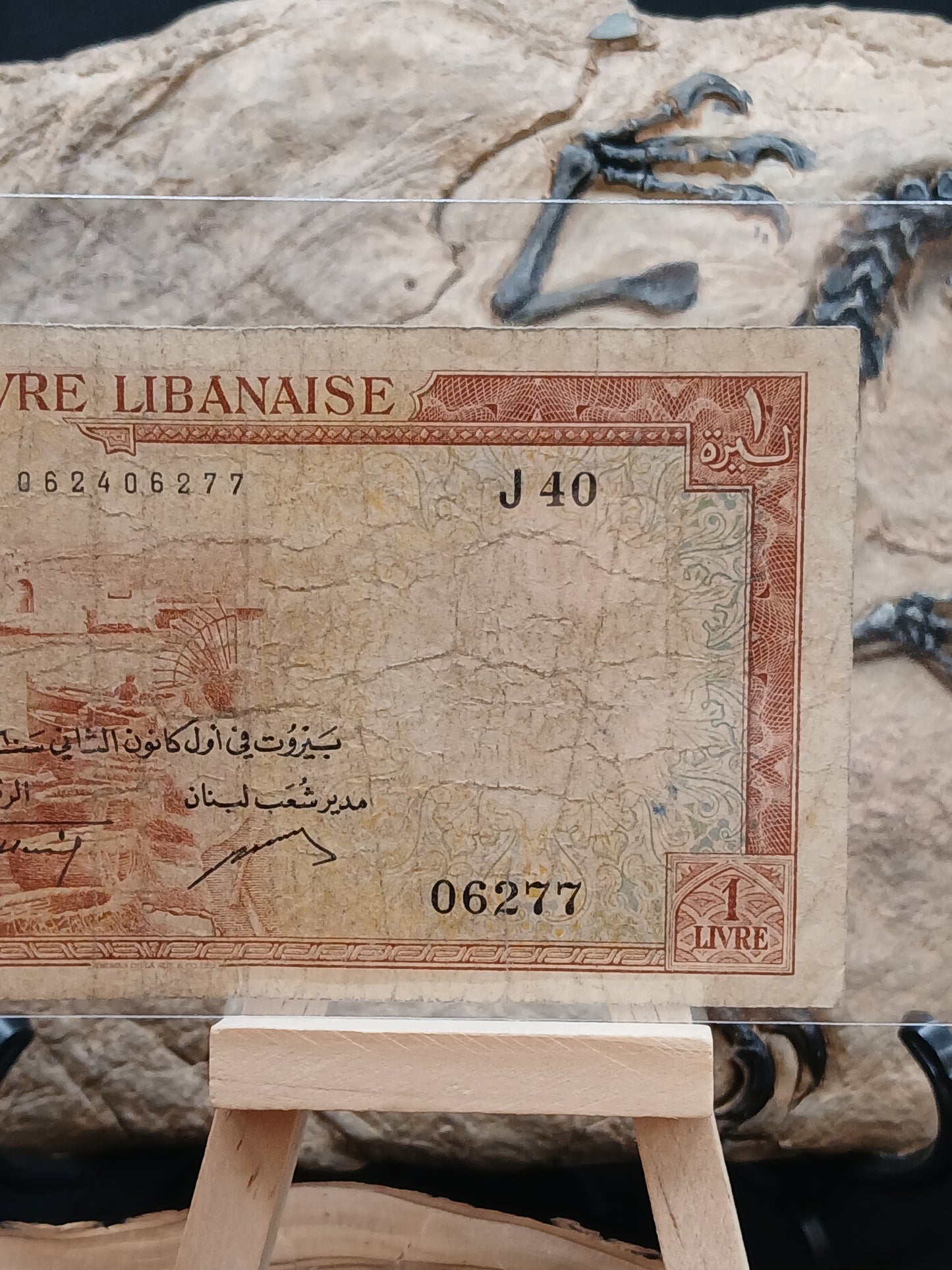 1 liver . Lebanon.  1960