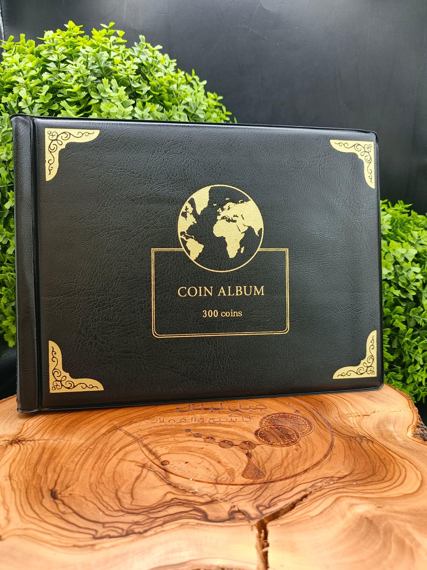 coins book ×300