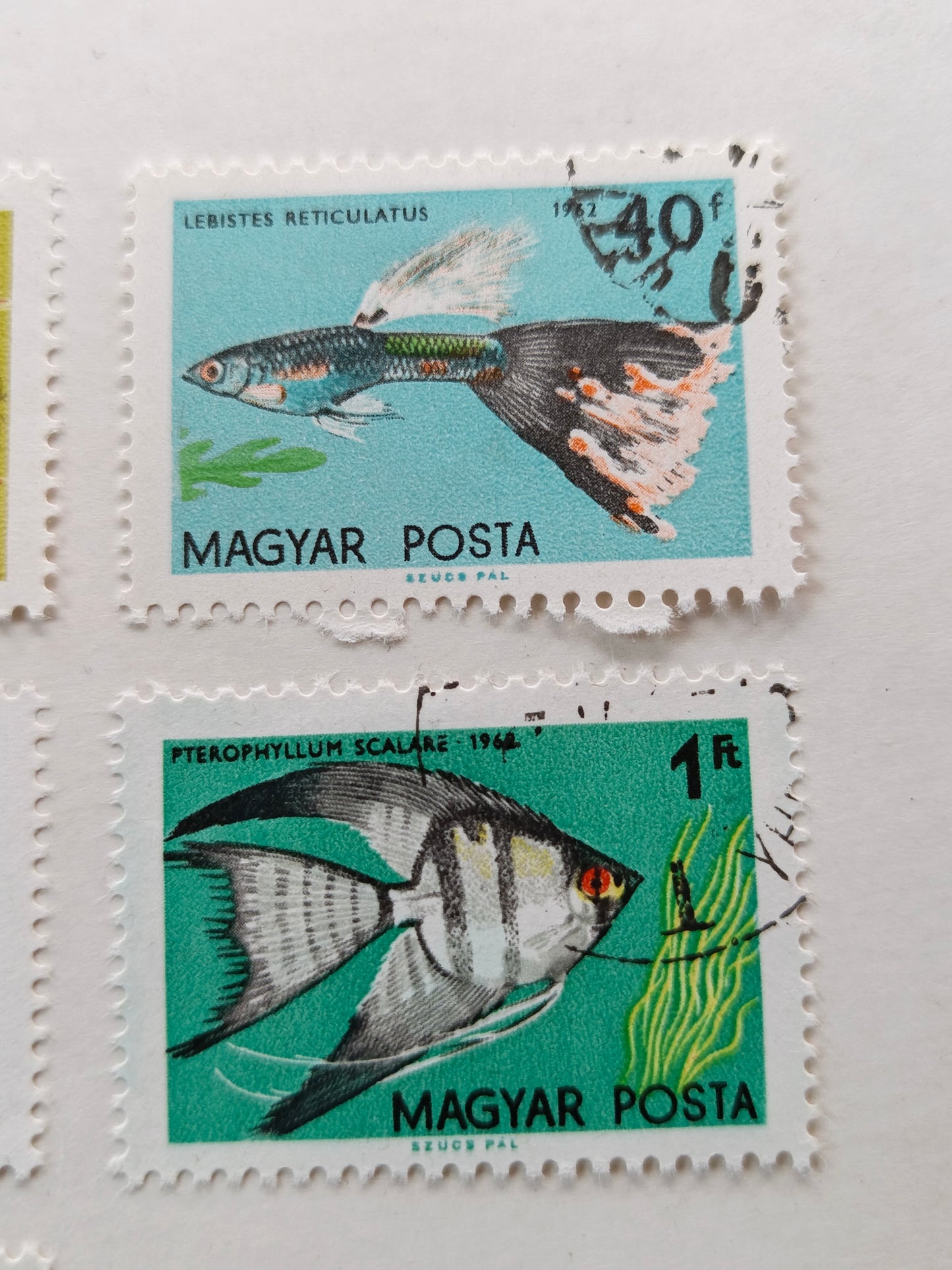 1962 Hungary Tropical Aquarium Fish Stamp Set