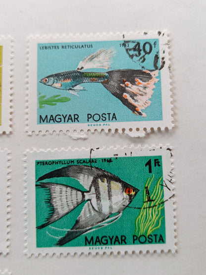 1962 Hungary Tropical Aquarium Fish Stamp Set