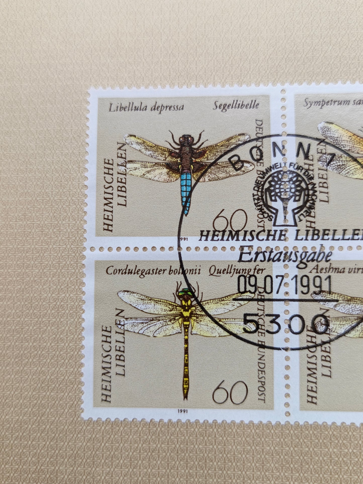 Nature’s Precision: The "Heimische Libellen" Collection