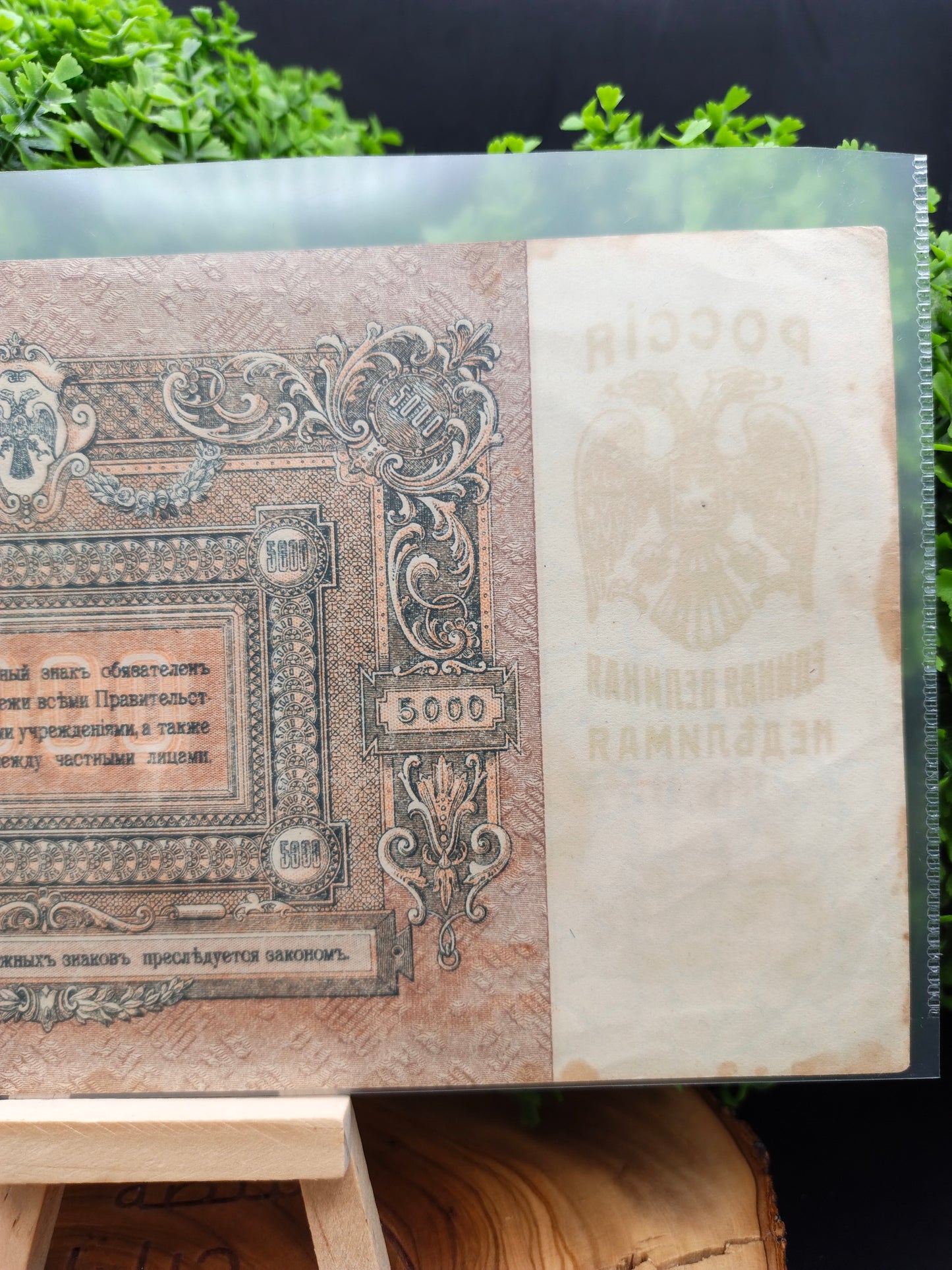 5000 rubles . Russia . 1919