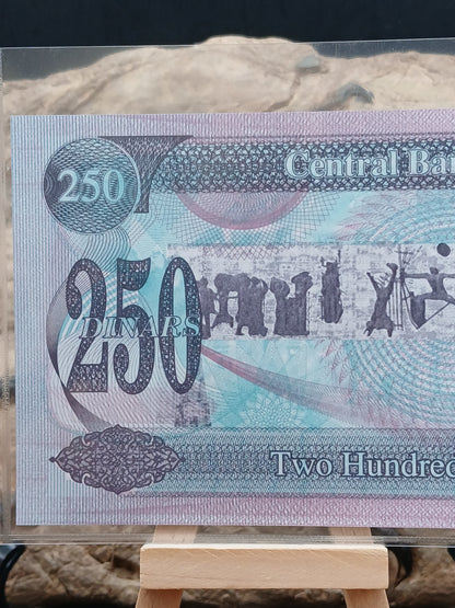 250 dinars . Iraq . 1995