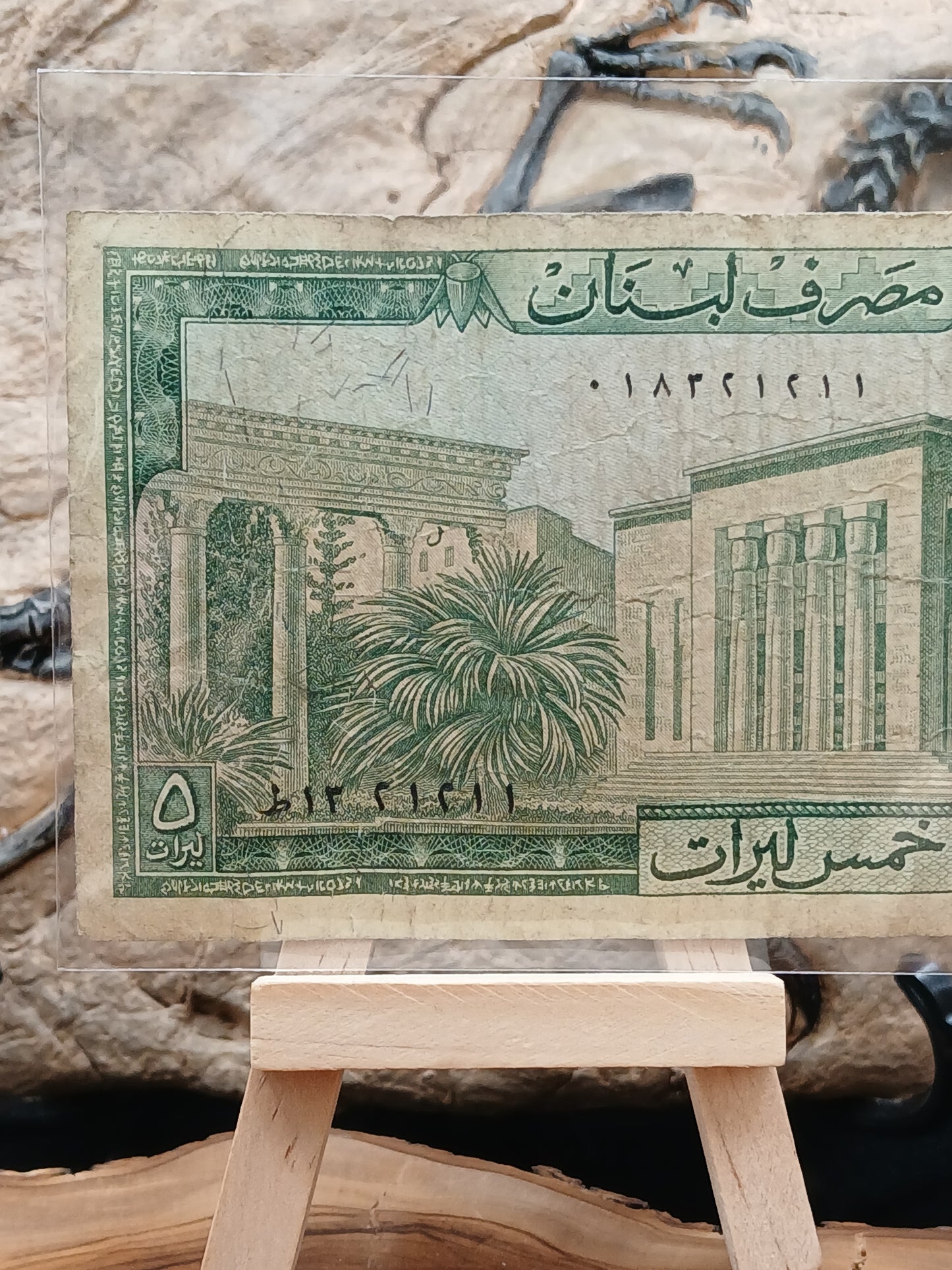 5 Lebanese livers . 1967