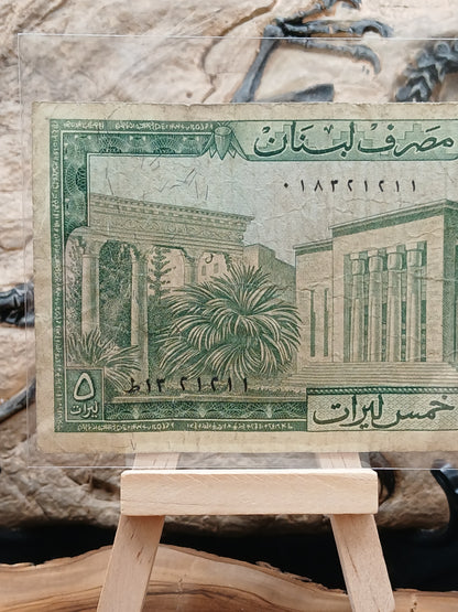 5 Lebanese livers . 1967