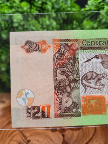 20 dollars . Belize . 2020
