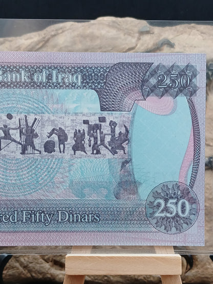 250 dinars . Iraq . 1995