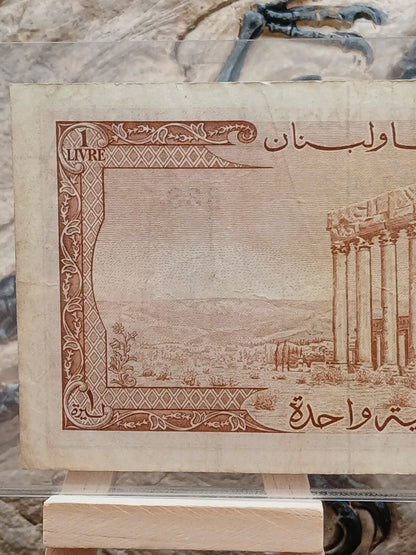 1 liver.  Lebanon.  1963