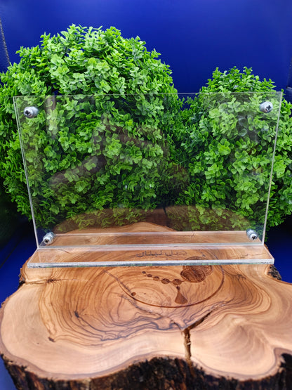 Plexi big banknotes stand