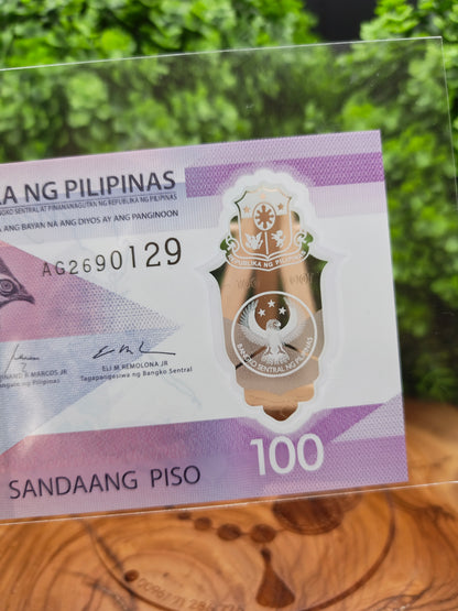 100 piso . Philippines . 2024
