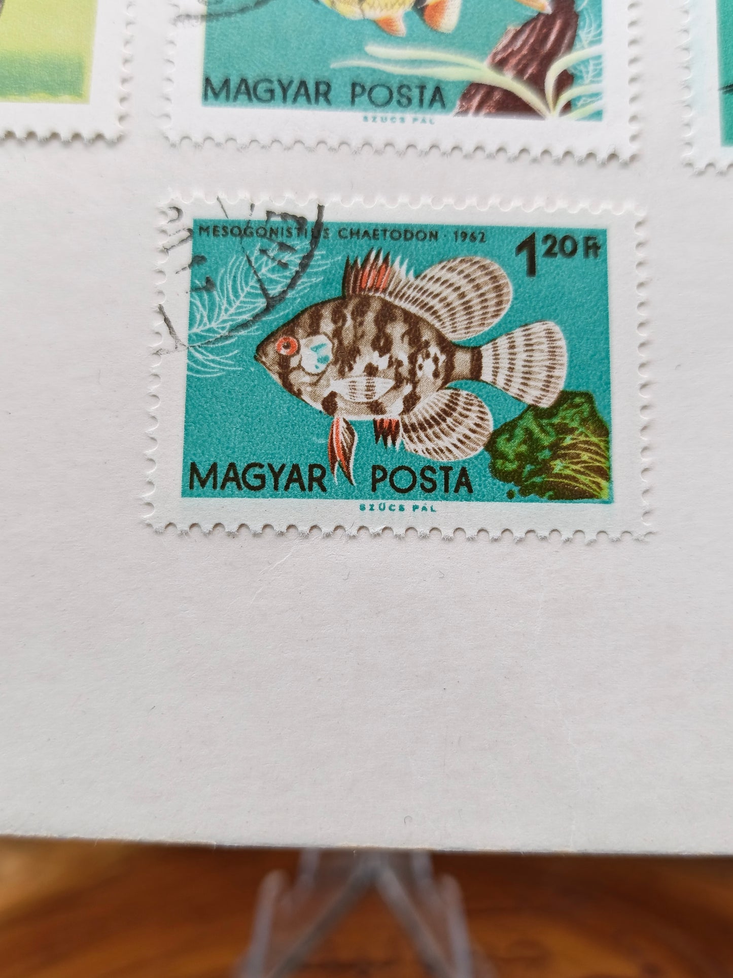 1962 Hungary Tropical Aquarium Fish Stamp Set