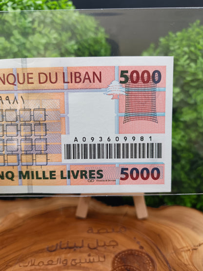 5000 lira . lebanon 2008