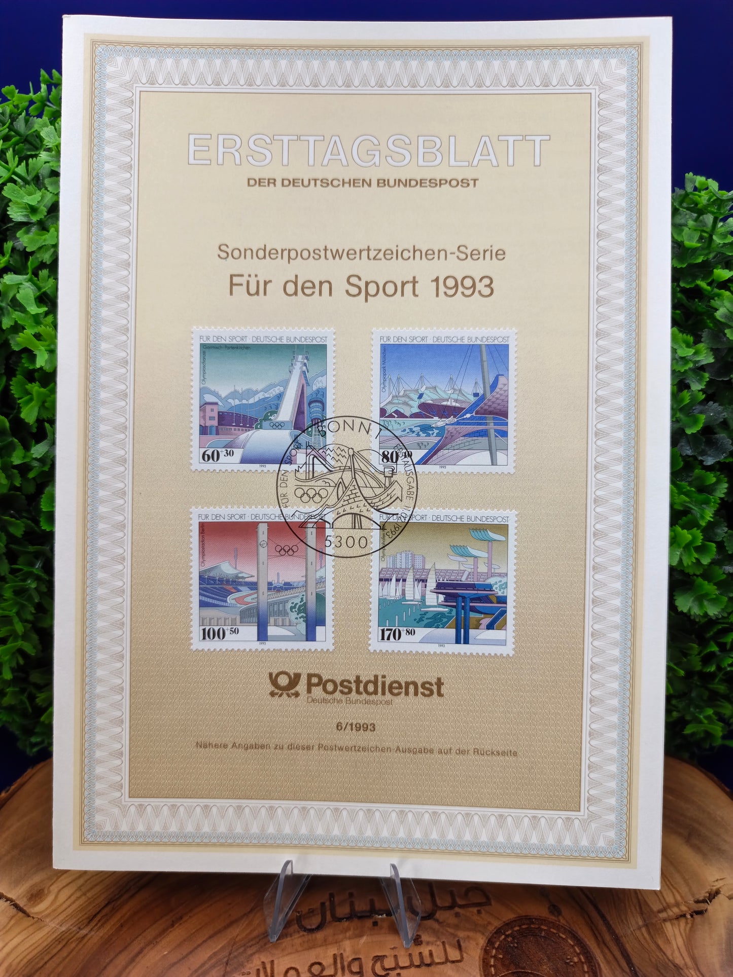 Athletic Infrastructure: "Für den Sport 1993" Series