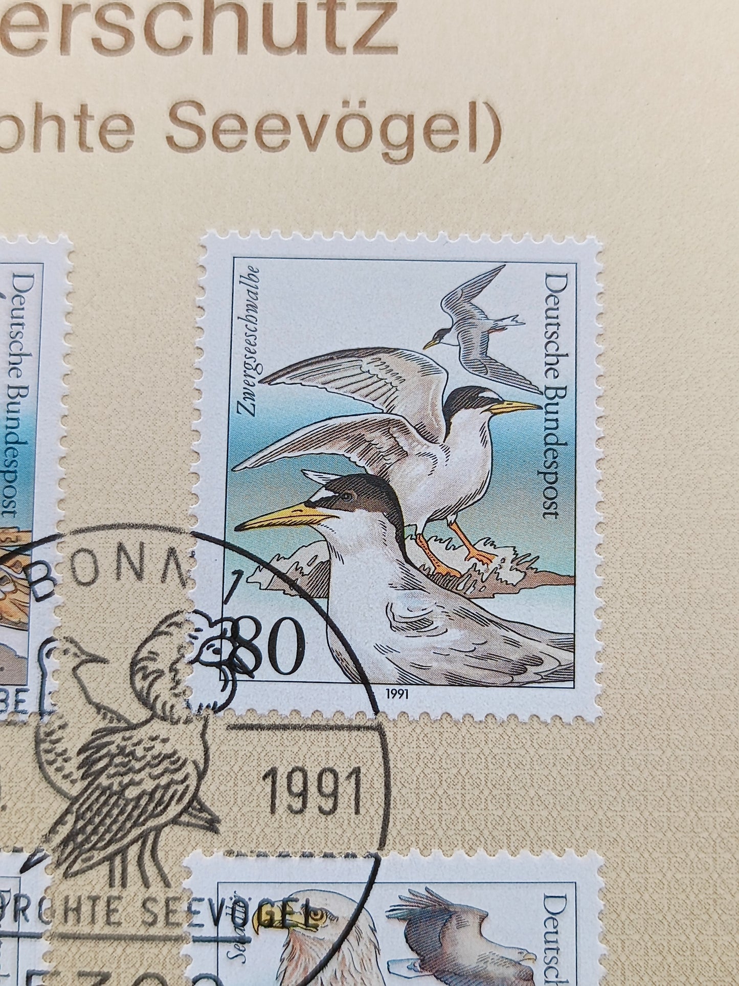 Guardians of the Coast: Threatened Sea Birds