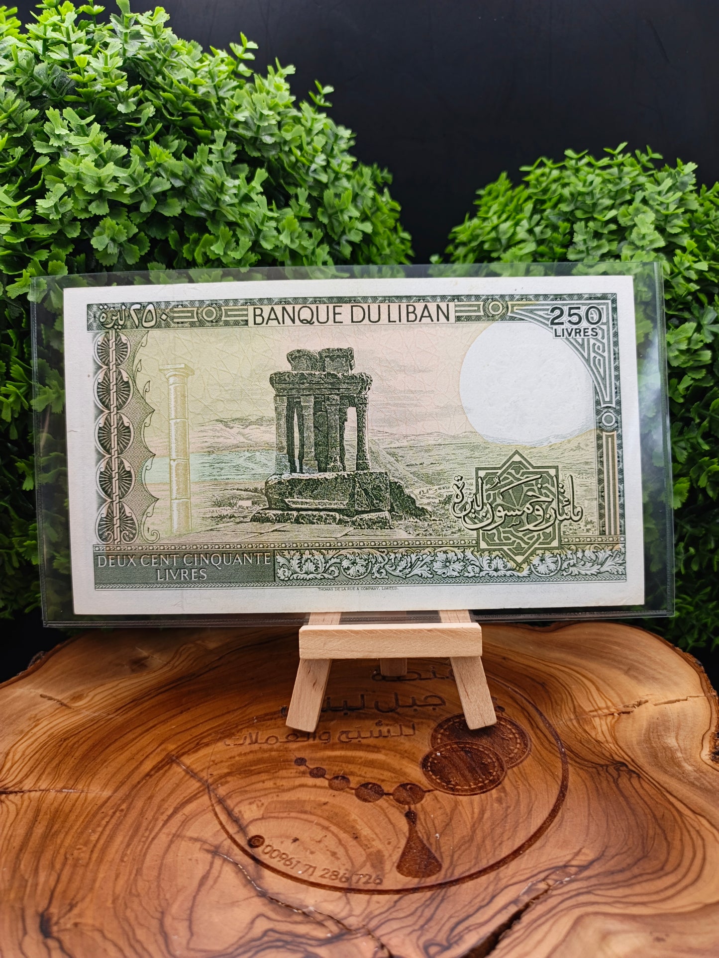 250 lira . prefix AA 1986 . lebanon