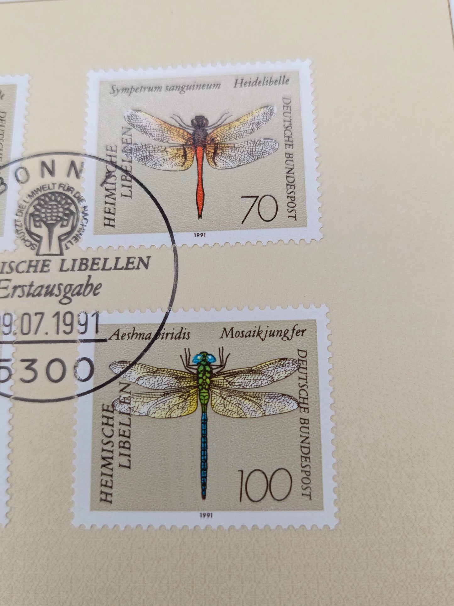 Nature’s Precision: The "Heimische Libellen" Collection