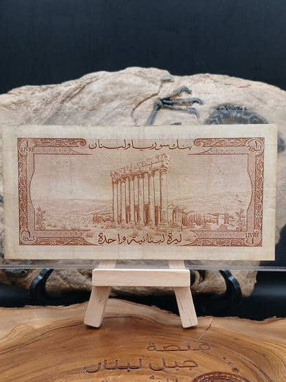 1 liver.  Lebanon.  1963